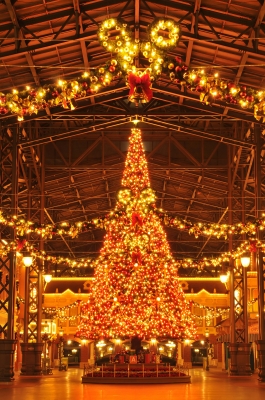 TDLのクリスマスツリー（イメージ）　 （C）Disney