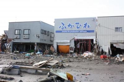 震災から6日後の石渡商店。建物の中は泥、がれき、魚などが流れ込んでいた