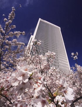 桜の開花にあわせて開催！